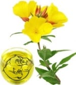 Evening Primrose Oil