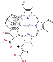 Chlorophyll chemical structure