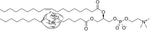 Phosphatidylcholine