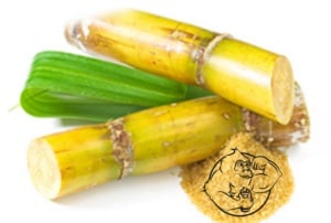 Policosanol plant alcohol main