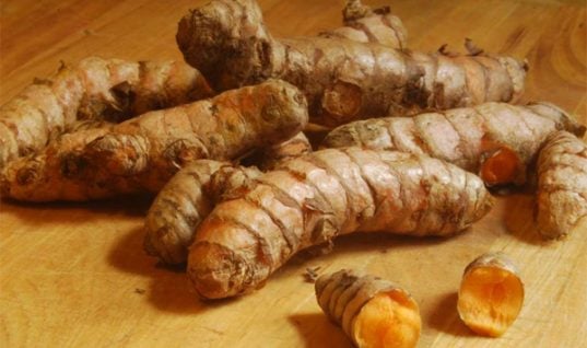 ban-turmeric-root