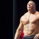 brock lesnar