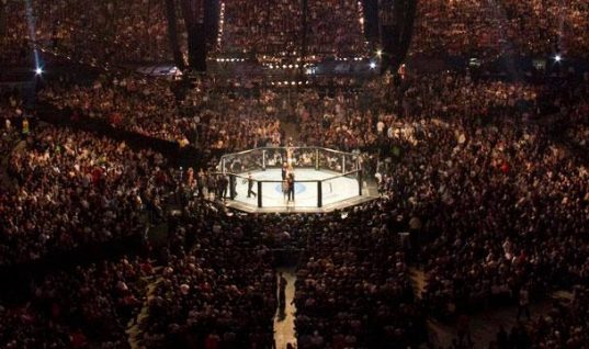 ufc octagon