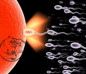 sperm.jpg