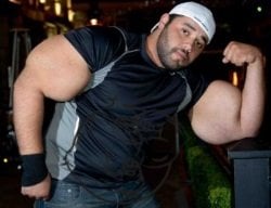 Moustafa Ismail synthol