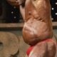 hgh gut example