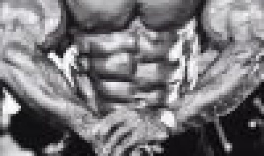 Chris Cormier ifbb pro