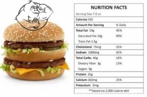 bigmac calories