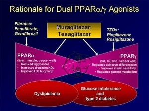 ppar-alpha-gamma