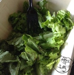 second meal salad with apple cider vinegar