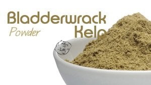 Bladderwrack Powder