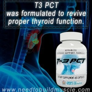 Easiest way to lose puppy fat photo 5