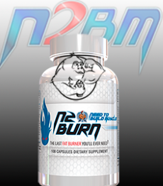 N2burn