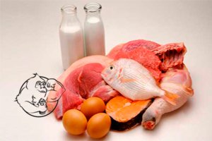 creatine food