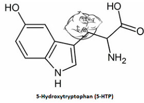 5-HTP – Evolutionary.org