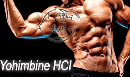 youhimbine body
