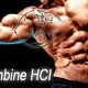youhimbine body