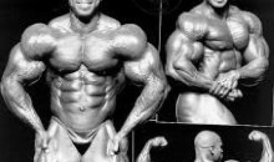 flex wheeler body
