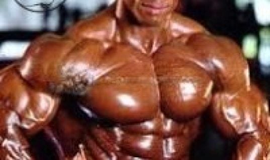 shawn ray body