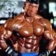 shawn ray body