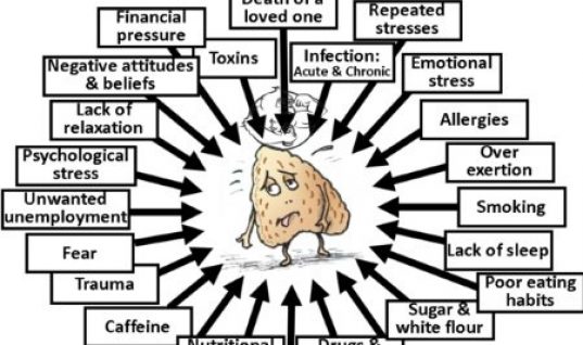 Adrenal fatigue causes