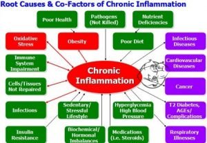 Causes Inflammation