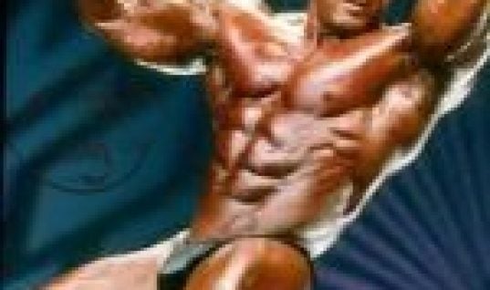 Milos Sarcev body