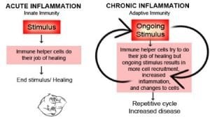 acute vs chronic inflammation