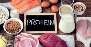 protein