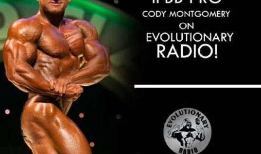 Cody-image