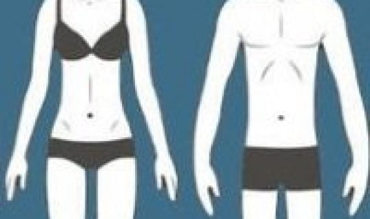 ectomorph