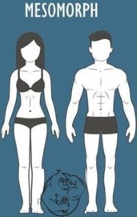 mesomorph