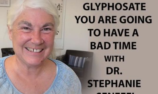 steph_image