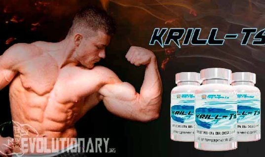 banner-krill-ts-evolutionary-1