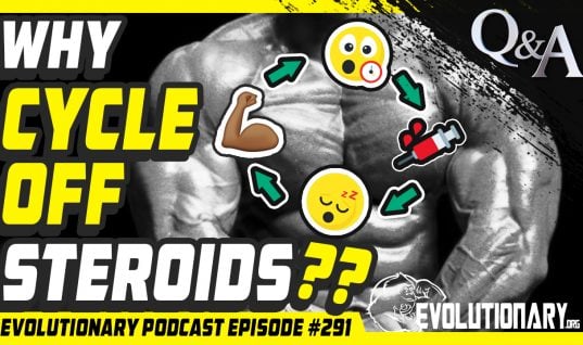 Why cycle off Steroids