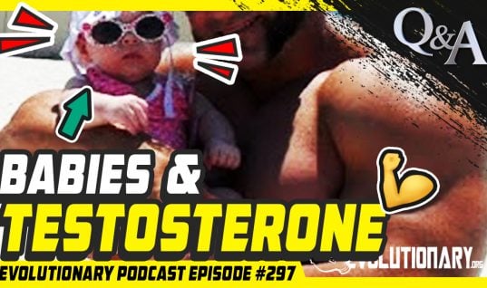 Evolutionary Podcast #297 – [Q&A] Babies and Testosterone
