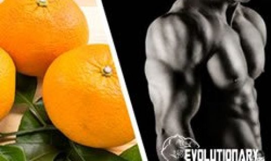 evo-Citrus aurantium