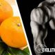 evo-Citrus aurantium