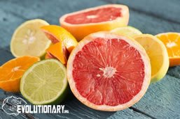 evo-Vitamins