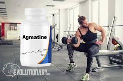 agmatine gym