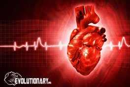 evo-blood-pressure