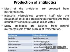 evo-microorganisms