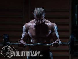 EVO-Results
