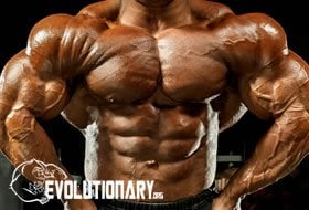EVO-body fat