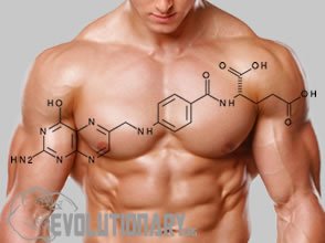 EVO-B9-Structure