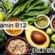 EVO-Vitamin B12 - Methylcobalamin