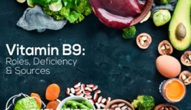 EVO-Vitamin-B9