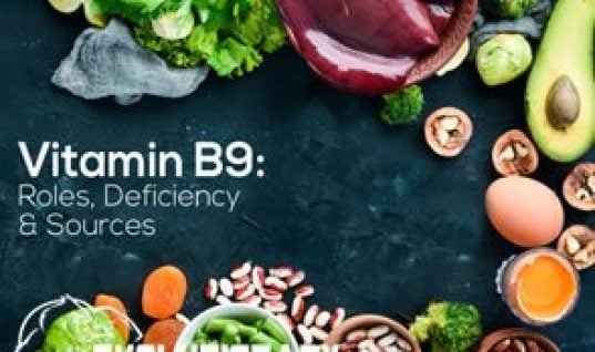 EVO-Vitamin-B9