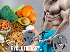 EVO-Vitamin B9 - vegetables