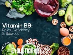 EVO-Vitamin-B9
